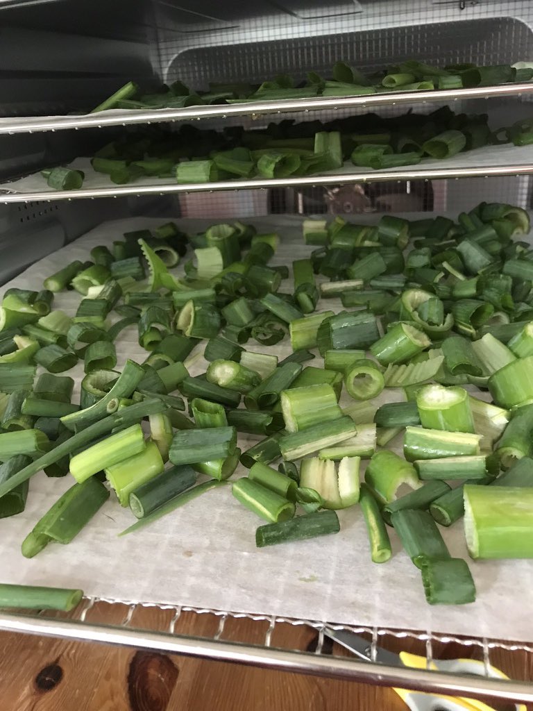 een_pot's tweet image. Het drogen in een voedseldroger zorgt ervoor dat alle voedingsstoffen in je voedsel of kruiden bewaart blijven omdat een voedseldroger op lage temperaturen droogt. 
groenten, fruit en kruiden 
#lekkersineenpot