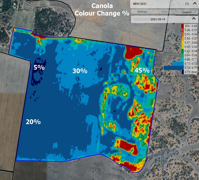 NDVI providing insight into canola windrow timing in Northern NSW. Image captured post petal drop to avoid flowers giving misleading NDVI readings.