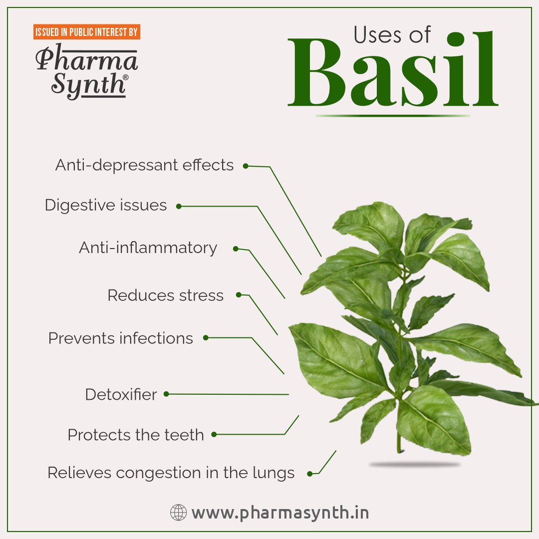 pharma_synth's tweet photo. Basil is an herb in the mint family.
It adds flavor to meals, and its nutrients provide multiple health benefits.
https://t.co/9kMn8Q5ZfN
#healthyliving #healthyeating #healthcare #PharmaSynth #healthydiet #healthiswealth #healthtips #healthbenefits #basil #herbs https://t.co/UX4ynXX6O0