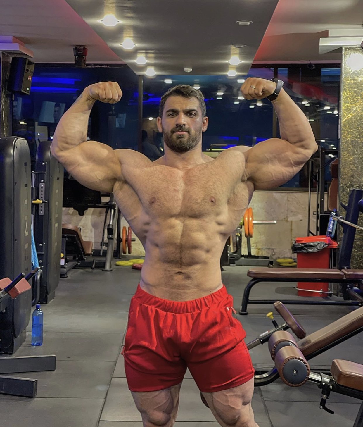 VENTURA on X: Arab Muscle t.coRICFBHYztS  X