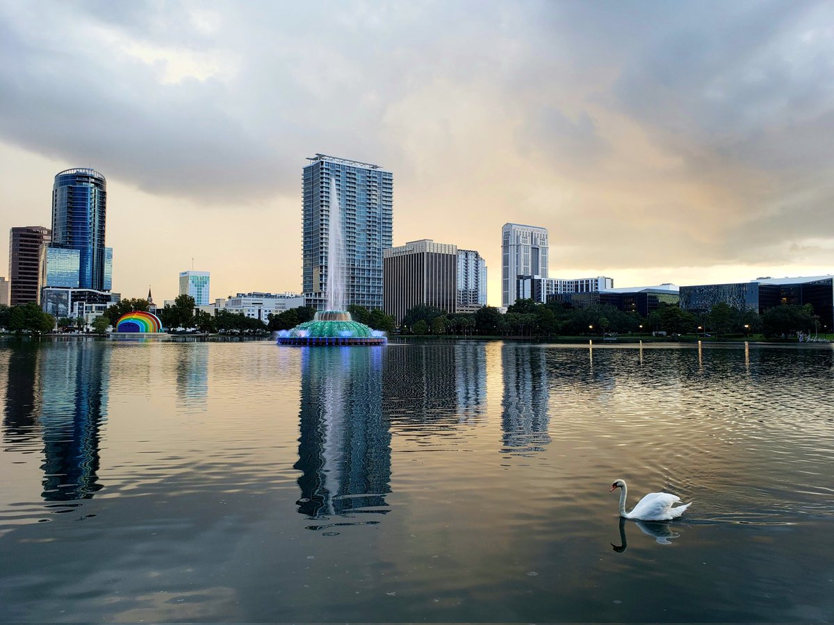 ImDapperDave's tweet photo. @fox35orlando https://t.co/x9OrSWWY5k