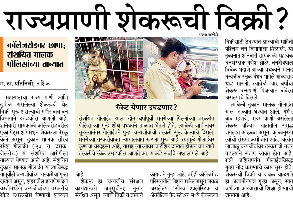 wnashik_forest's tweet photo. #login https://t.co/0qkvX4ti52