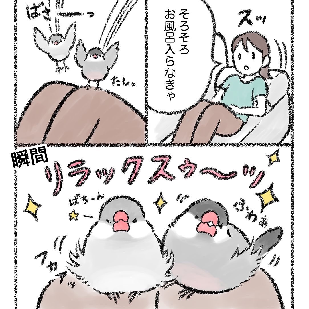 インスタに文鳥マンガをアップしました⤴️

可愛すぎて動けない。。🐥🐥

続きはこちらから💁‍♀️↓↓
https://t.co/xTlBEsluaH 