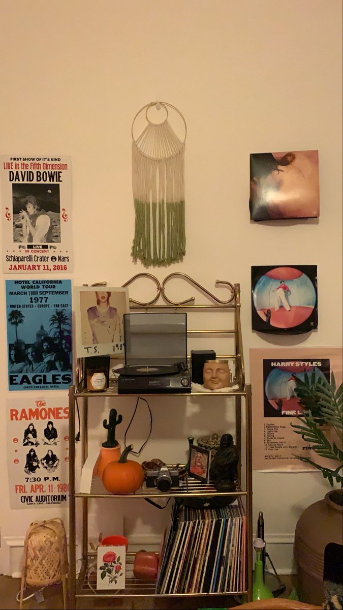 Ioversatellite's tweet photo. look at my cute little chicago apartment 🤸‍♀️ https://t.co/COcvetz1Ue