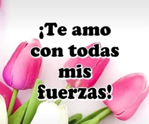 ALICIAmakr's tweet photo. https://t.co/BUhewi8BqW