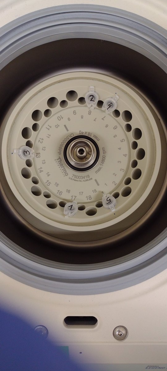 JGaladePablo's tweet photo. Balancing the centrifuge like a pro 😎 https://t.co/YolJdsTJRV