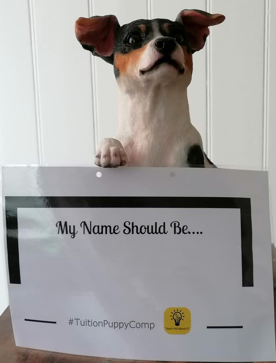 Holly - TeachAllAboutIt ๐ฅ๏ธ๐พ๐ (@teachallaboutit) on Twitter photo Look who is joining us today at @WorthingandAdur #betterbiz2021 This little fella holds open our front door! We would like some help to name him. Come down to <a href="/SDownsLeisure/">South Downs Leisure</a>, write your suggestion, take a photo & share it on Twitter using #TuitionPuppyComp
#b2b #business #event Look who is joining us today at @WorthingandAdur #betterbiz2021 This little fella holds open our front door! We would like some help to name him. Come down to <a href="/SDownsLeisure/">South Downs Leisure</a>, write your suggestion, take a photo & share it on Twitter using #TuitionPuppyComp
#b2b #business #event