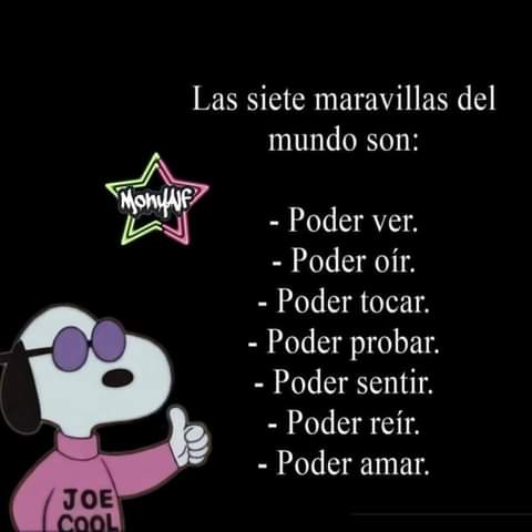 ALICIAmakr's tweet photo. https://t.co/Rn31mmlxpq