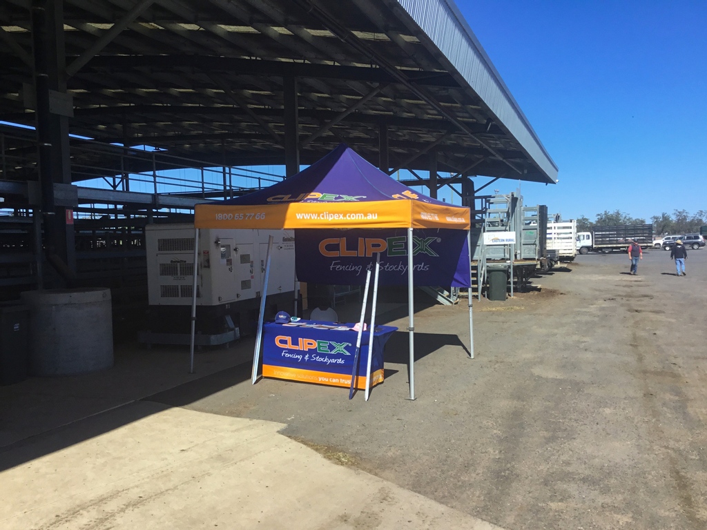 Mark dropped in to the Dalby Regional Saleyards yesterday for the weekly prime & store sale 🐂 Great facility they've got there, and a beautiful day for it 🌞