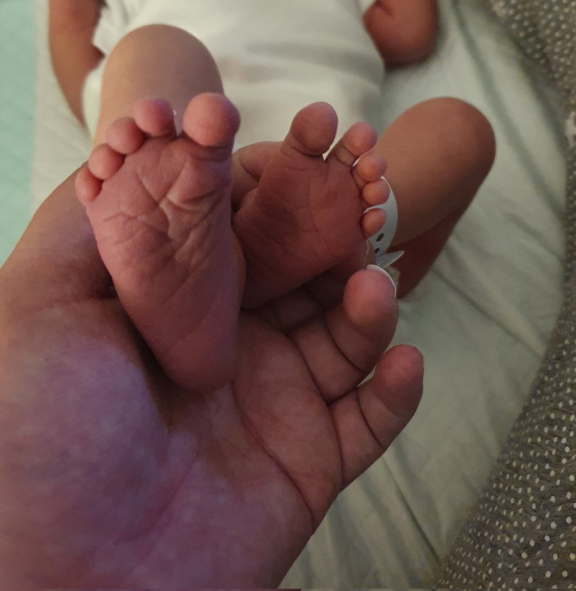 tracy_xXx's tweet photo. Welcome to the world baby girl. Currently embracing life as a family of 4 👨‍👩‍👧‍👧🥰🤱🏼 https://t.co/bFinIhFG7D