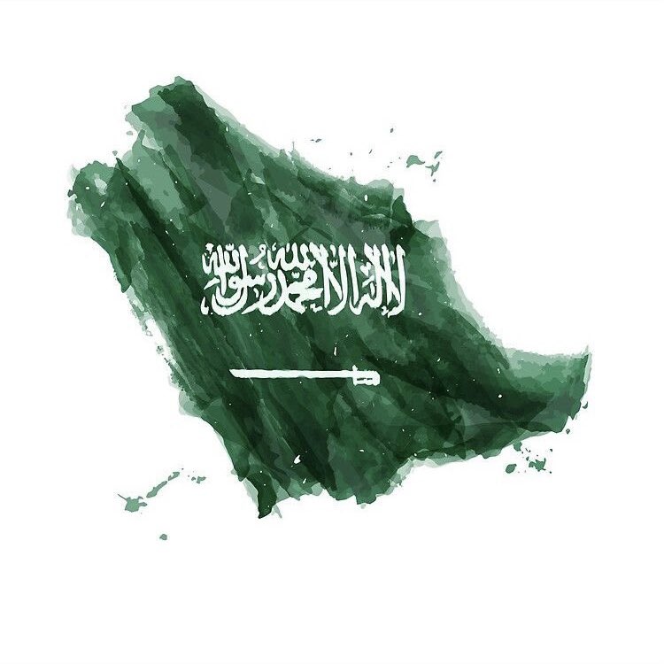 malamri3's tweet photo. كل عام ووطني الغالي بخير وأمن وازدهار واستقرار ❤️ 🇸🇦

 #اليوم_الوطني91 https://t.co/DSHp9daaW3