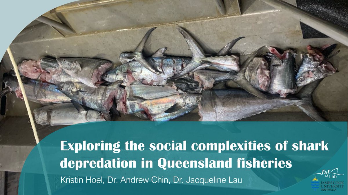 Ffisheries_lab's tweet photo. Great to see some of our lab's research showcased at #WFC2021! @spinnershark7 @brooke_dalberto @ofwildseas I don't know about you, but we're definitely enjoying learning about all the diverse, innovative, and just plain cool #fisheries research that's happening around the globe! https://t.co/TEo0aWcGty