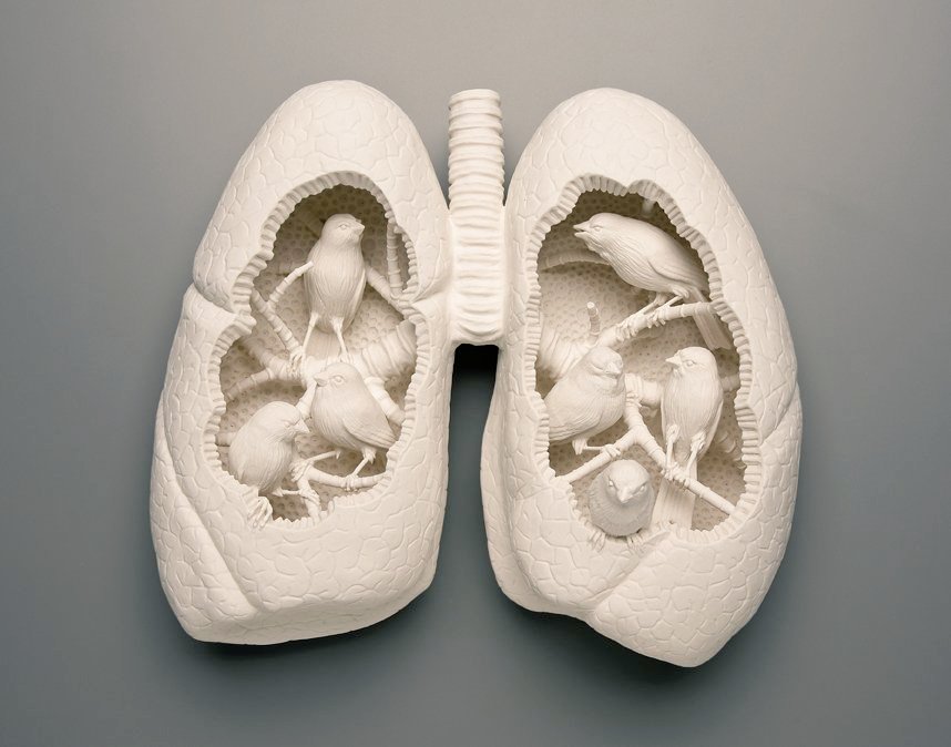 #WOMENSART tweet media