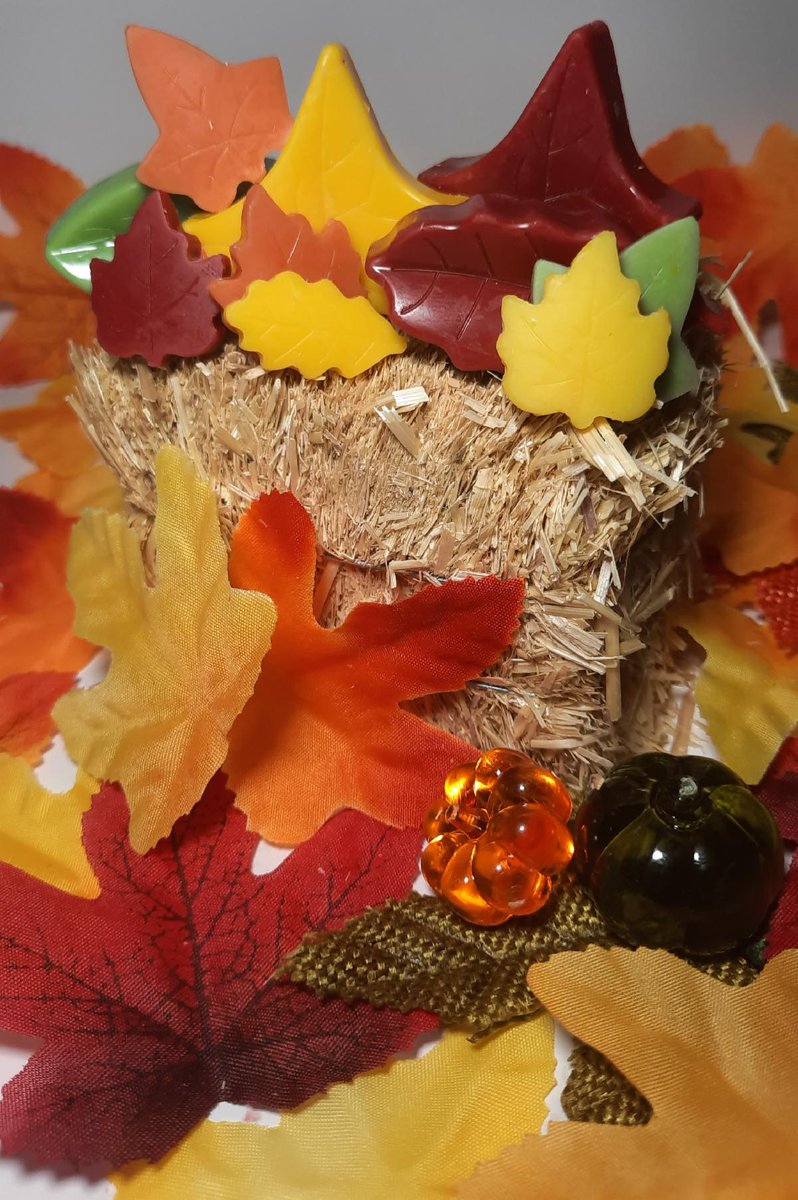 selectivescand1's tweet photo. It's FALL Y'ALL!!! In ode to my most favoritest season, there's 20% off ALL Melt Boxes at https://t.co/ZOgkfPbslH... which includes the beautiful Fall scents Autumn Air &amp; Pumpkin Spice!
#ItsFallYall #MeltBoxes #Selectives #FallDecor #DecorateYourAir #Fall #HomeDecor #Sale #suppo https://t.co/D5rIqzDYJh