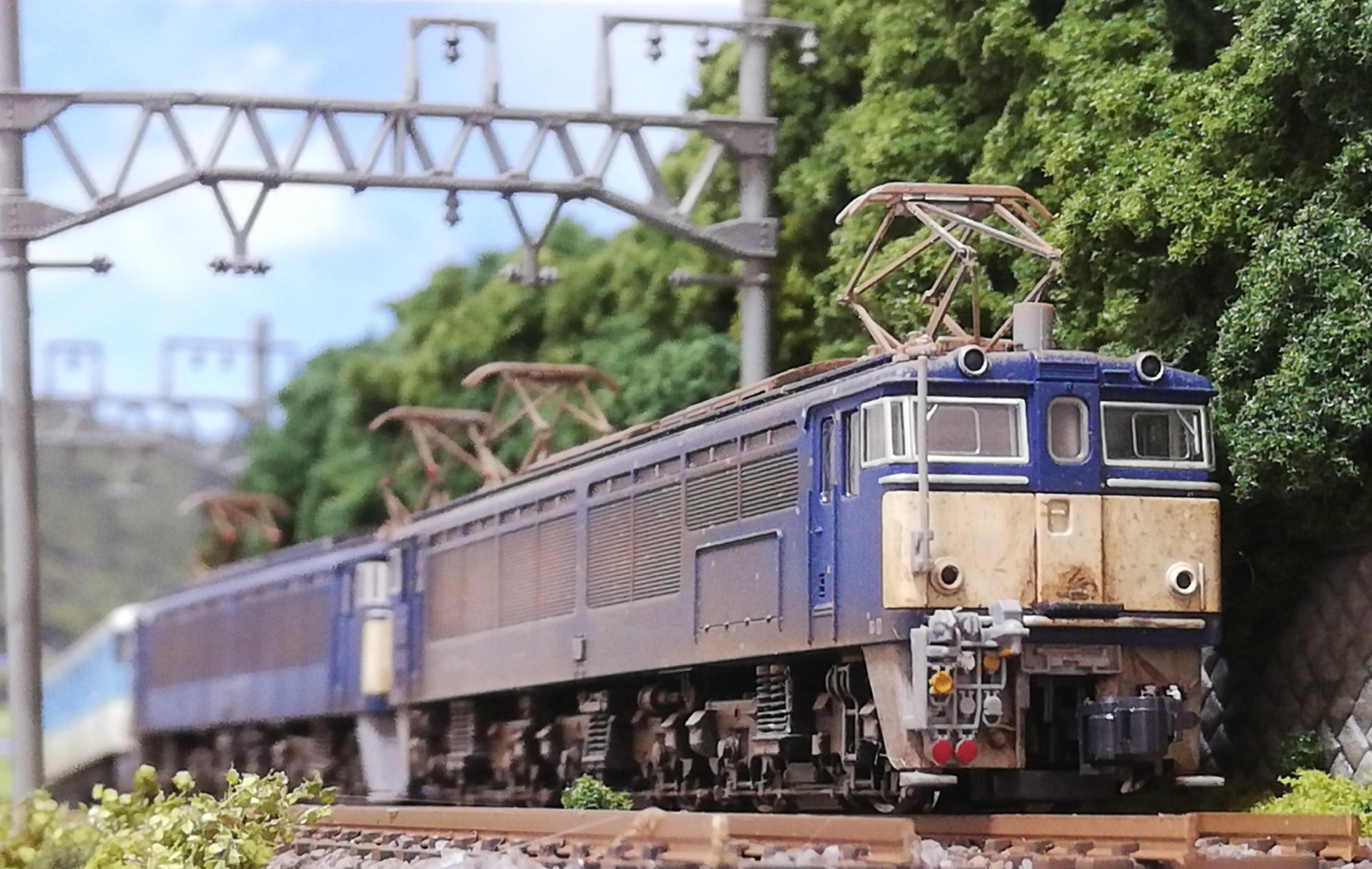 鉄道模型ジオラマ エゾギク/アスター on X: 