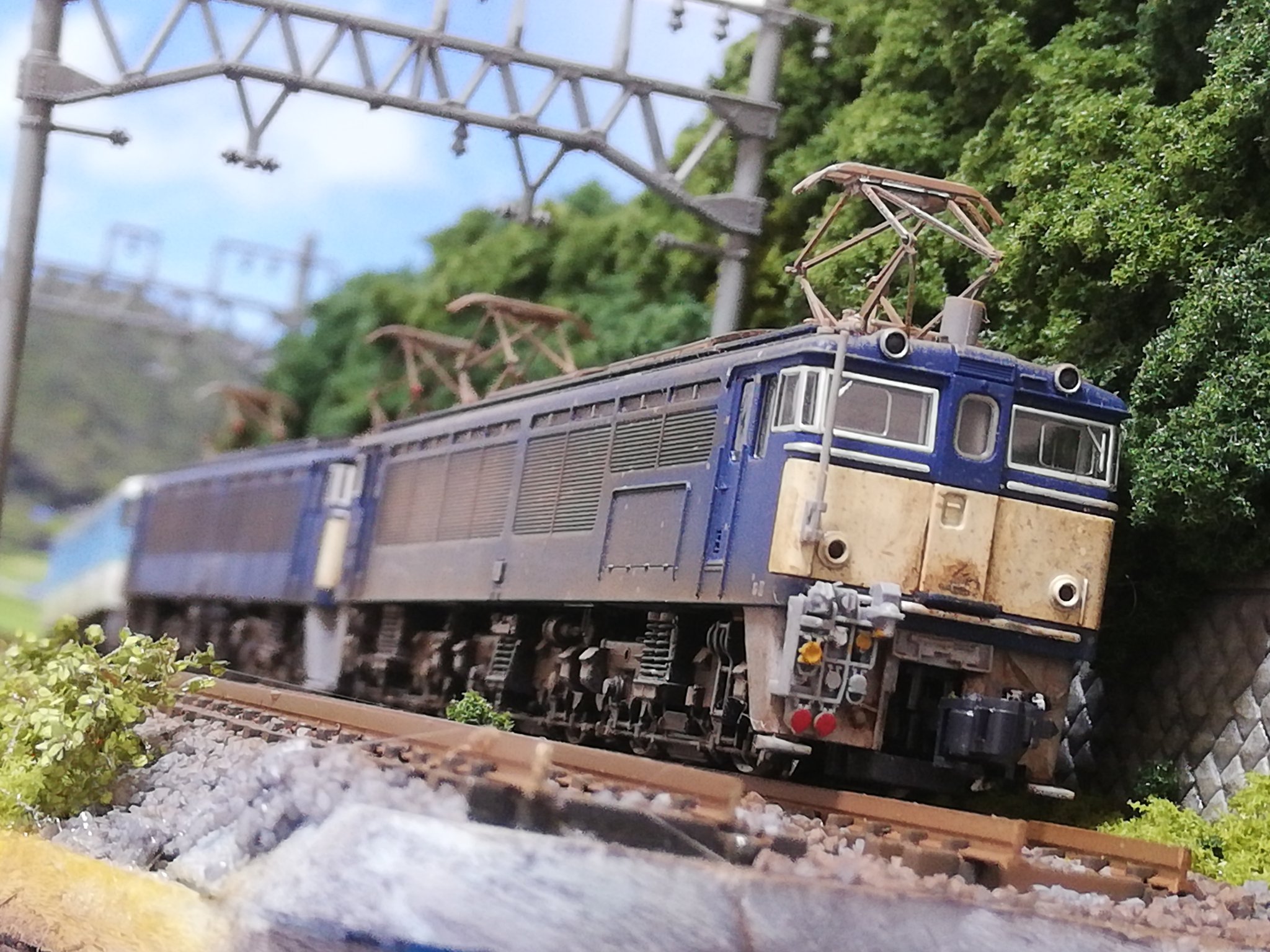 ジオラマ　鉄道 エゾギク/アスター on X: 