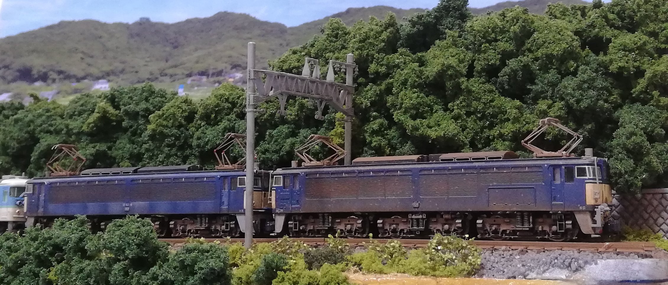 ジオラマ　鉄道 エゾギク/アスター on X: 
