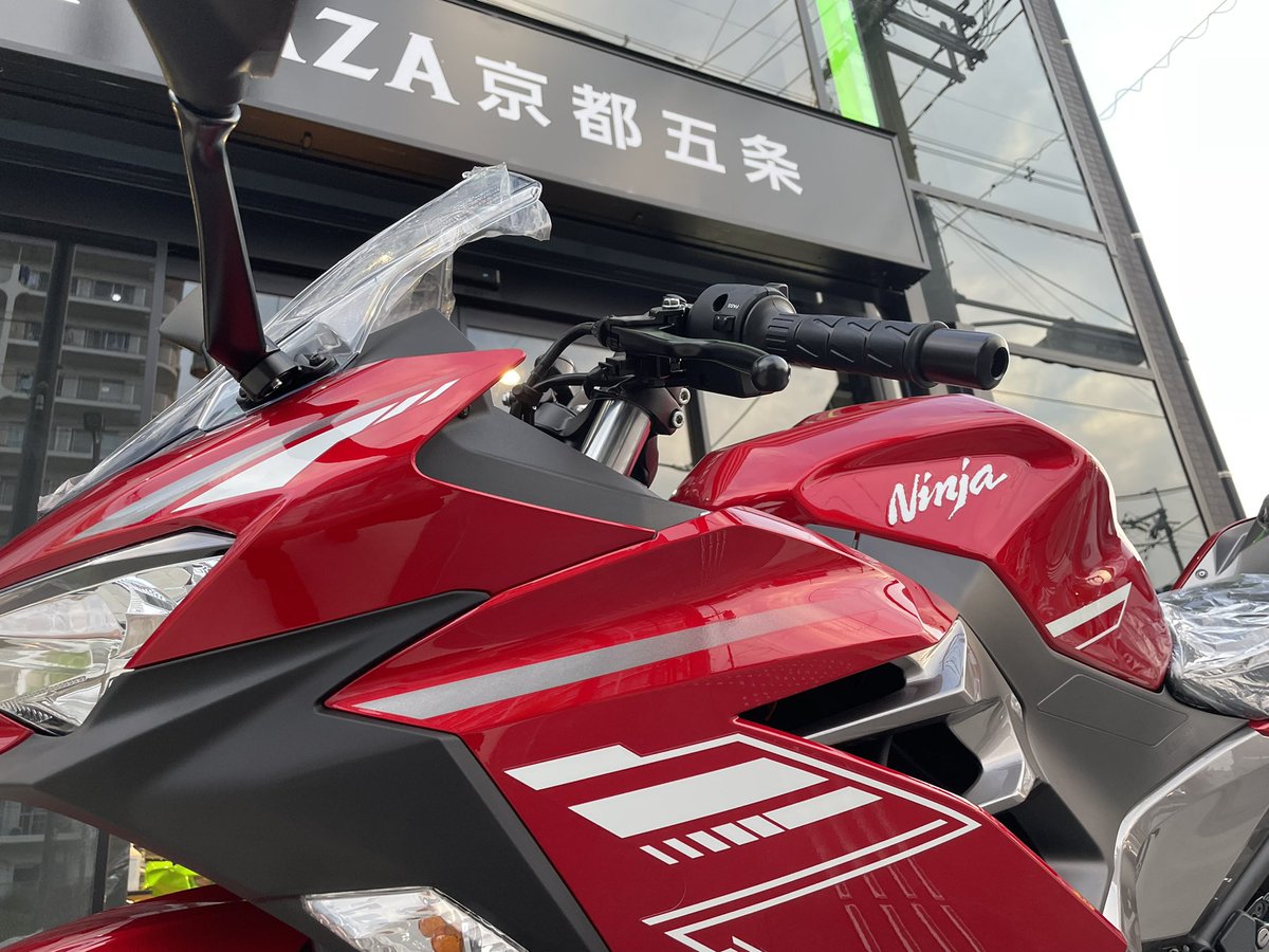 ✡️【新品タグ付き】カドリー　イケメン猫　甚五郎、日本製、高級品 カドリー ねこ ぬいぐるみ 甚五郎【Cuddly／ヌイグルミ／ねこ