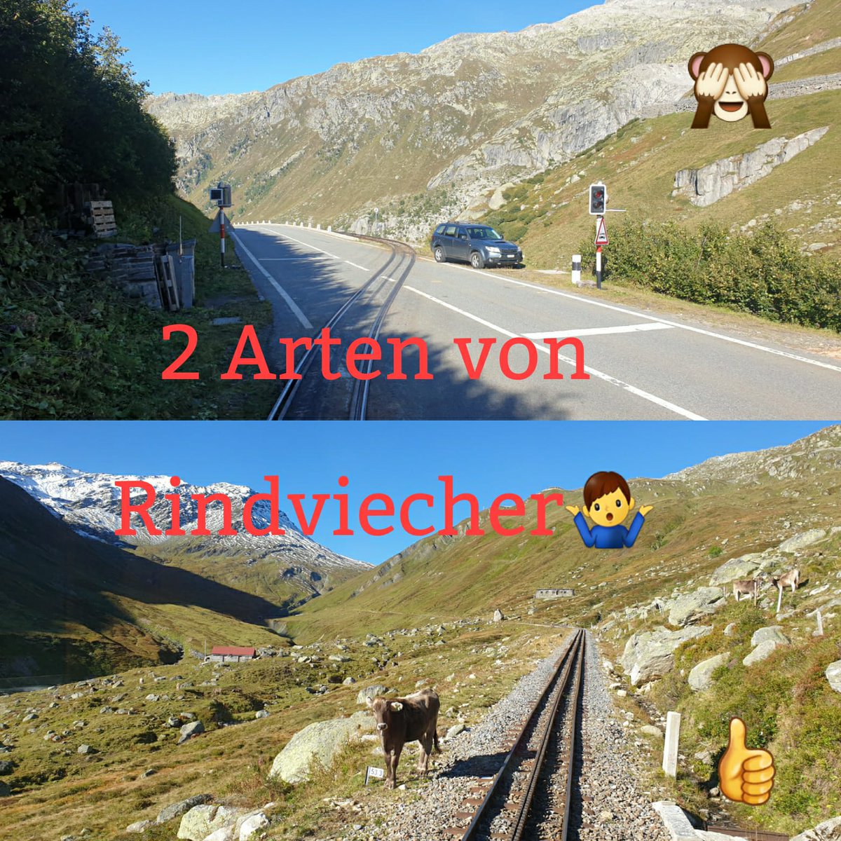 Dampfbahn Furka Bergstrecke tweet media