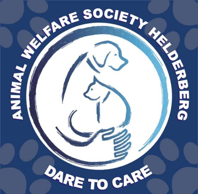 vaded_za's tweet photo. Doing a Charity-Subathon, all donations will go to my Local Animal Welfare in Gordons bay area. Donations, subs and bits up the stream timer. Only donations go to the welfare, and are preferred over subs and bits. We have raised around $150 of our $300 goal. #charity #animals https://t.co/b8S4SkOW8l