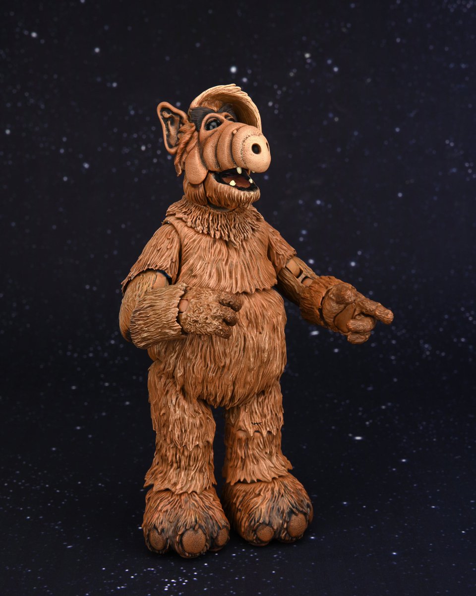 swafol's tweet photo. [OFFICIEL]
Neca annonce une figurine Alf pour le 35ème anniversaire de la série. 
[/OFFICIEL]
#neca #alf #melmacian #swafol https://t.co/lsaMpve7zY