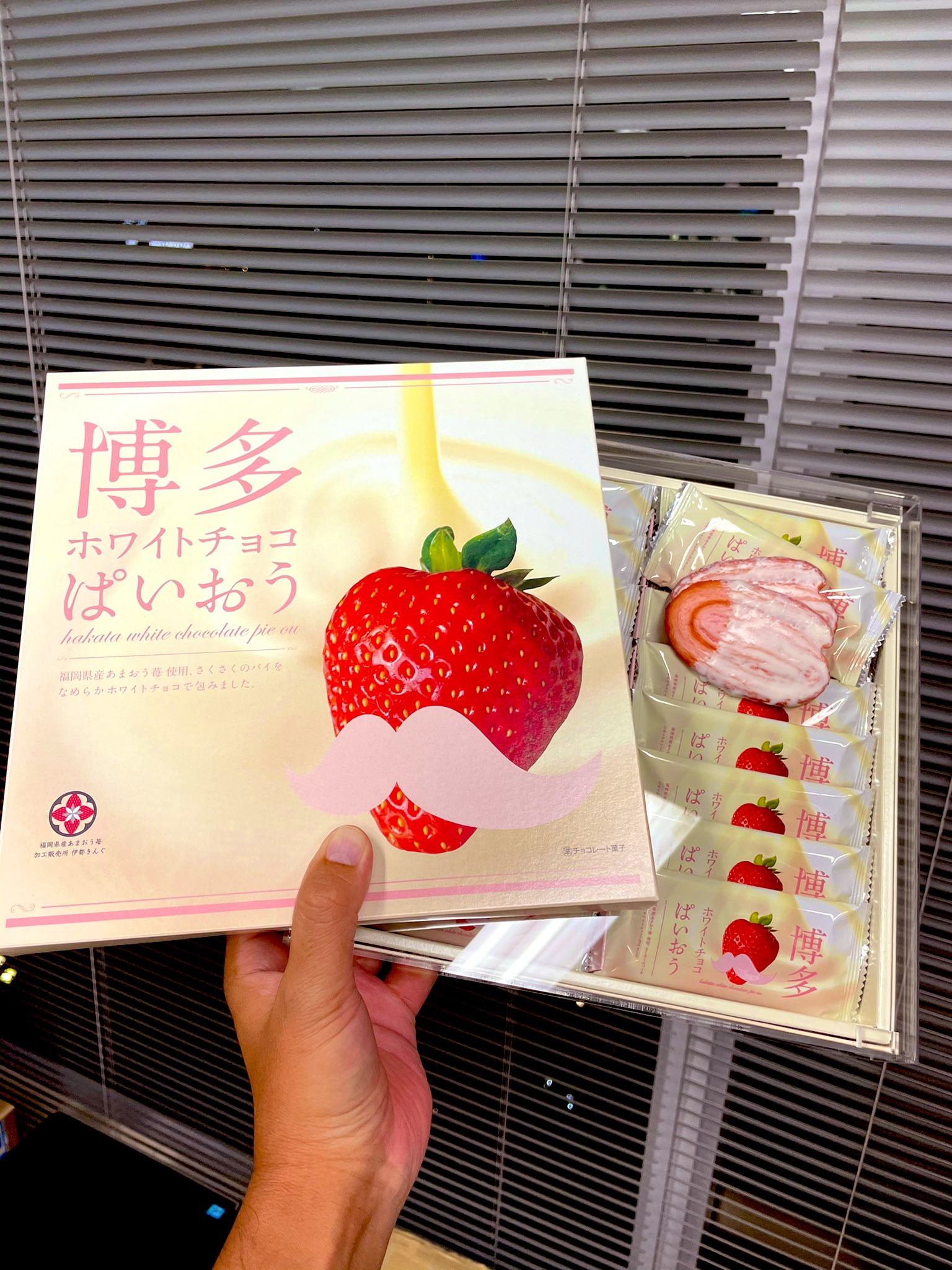 くすみ水色 博多チョコぱいおう 割引 - 通販 - www.happyhead.in