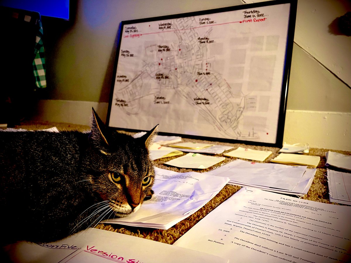 LetsFindDamien's tweet photo. When even the cat be pissed off about timeline inconsistencies. #letsfinddamien #missing #crime #actualjobpregame #insomniaproject #visuallearneraf #deepdowntherabbithole #coldcase #crowdsolve #becauseicantsleep https://t.co/lJAO6bUU5r