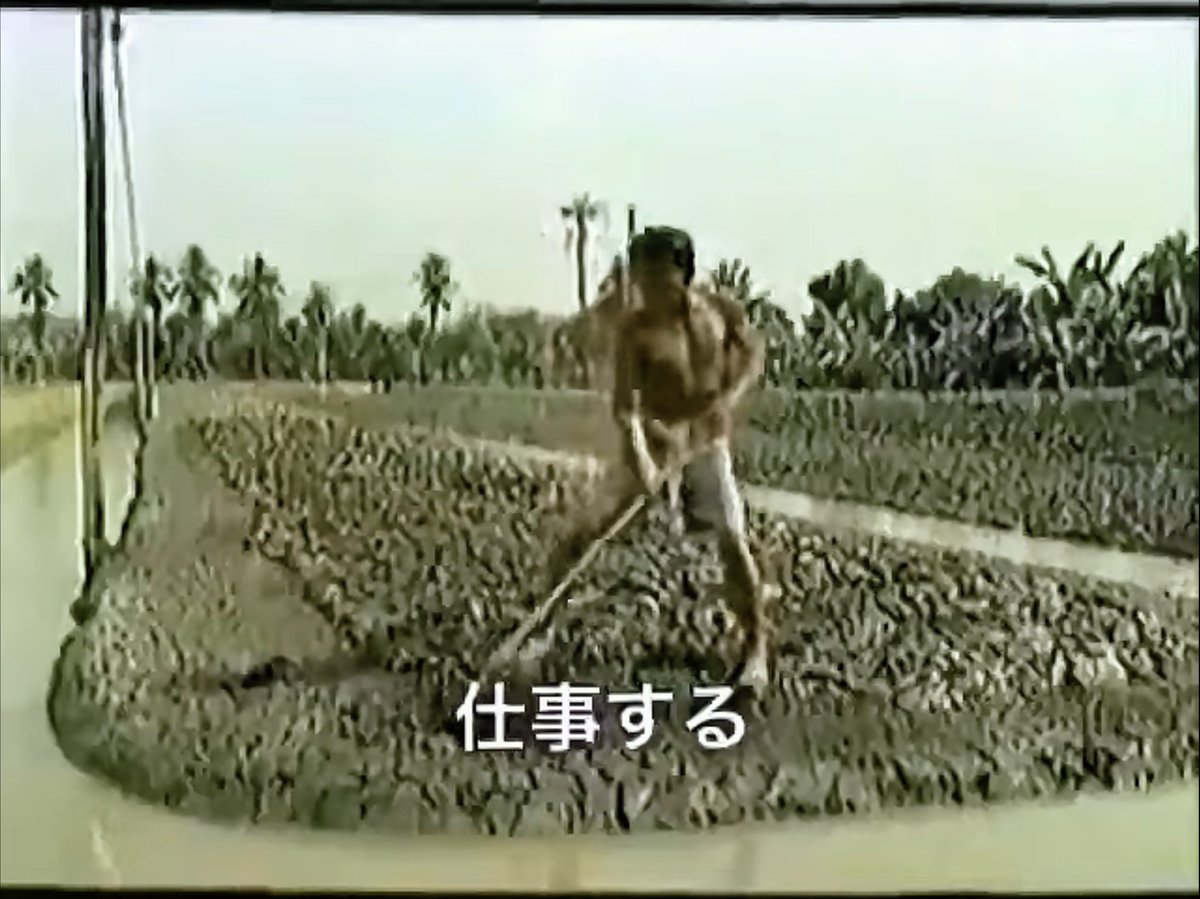 GreenMettyaSuki's tweet photo. TLの大体の人、これ https://t.co/8bwQkFDwNf