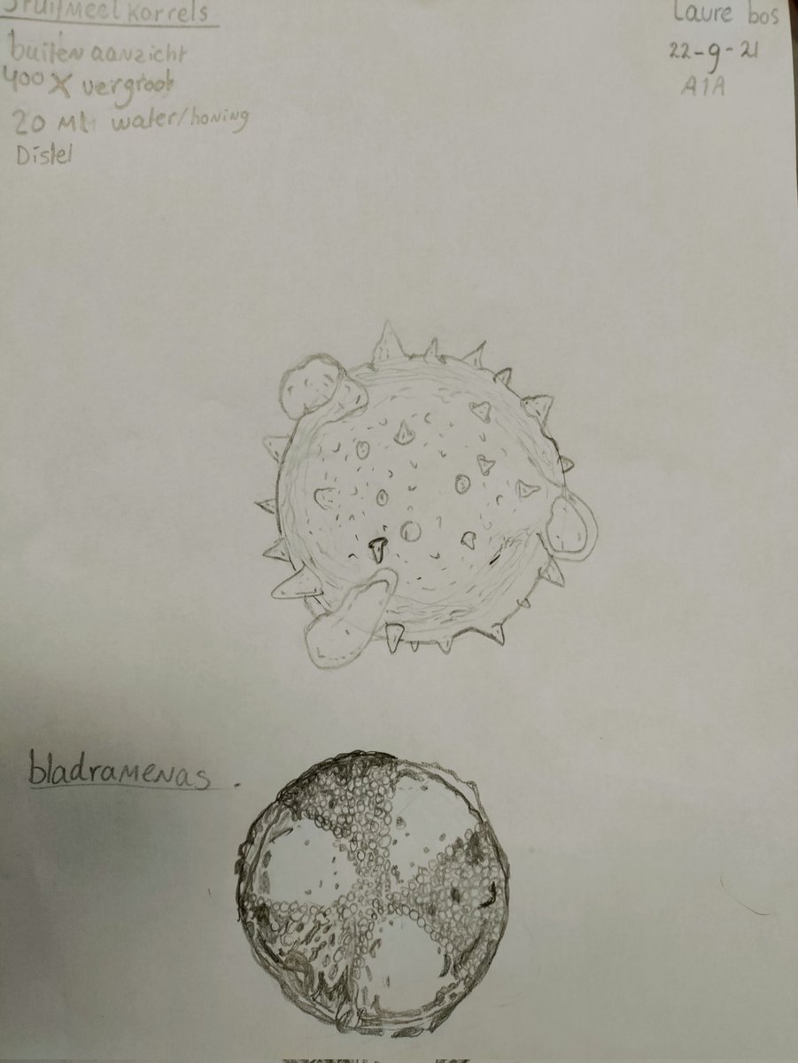 Irene Bos tweet media