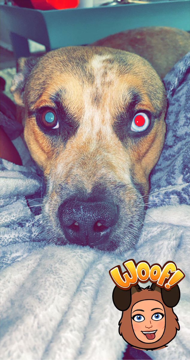 Reberta101's tweet image. Things I will never regret: You. 🥰💜☮️