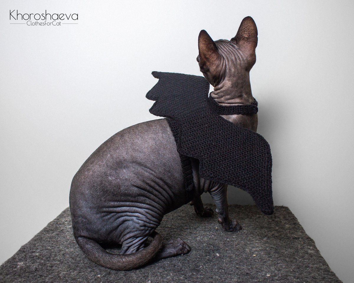 ClothesForCat's tweet photo. Excited to share the latest addition to my #etsy shop: Halloween costume for cat crochet pattern PDF, Bat wings for cat, Crochet bat wings https://t.co/3mxNidTQL3 #birthday #halloween #crochet #catcostume #batcatwings #catcrochetpattern #catpdf #halloweencatwings #wing https://t.co/nNMY19sr2m