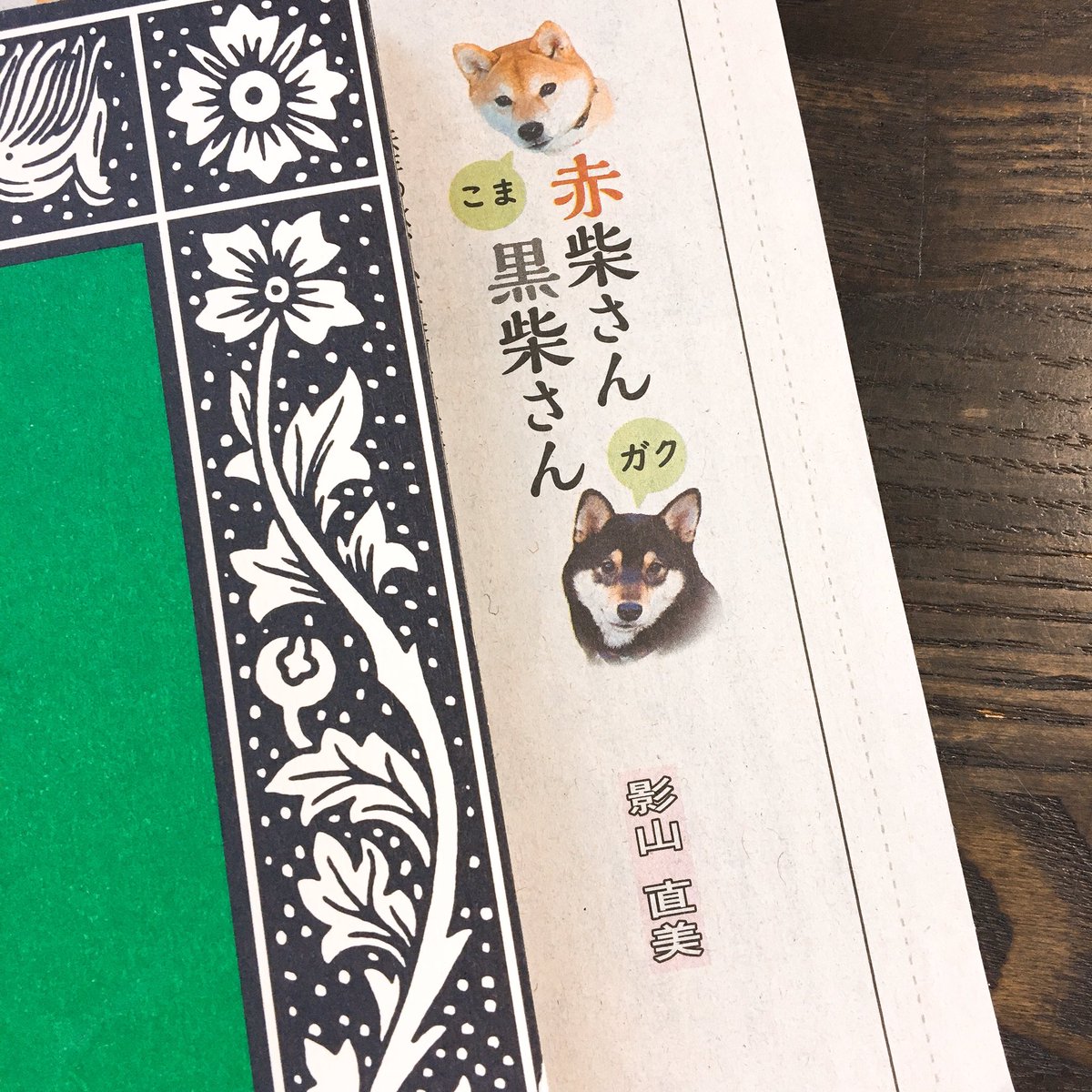 りんぞう 地元神奈川新聞にぜひ 神奈川新聞 影山直美 柴犬 ゴンとテツとコマとガクのおかあさん りんぞう 地元神奈川新聞にぜひ 神奈川新聞 影山直美 柴犬 ゴンとテツとコマとガクのおかあさん