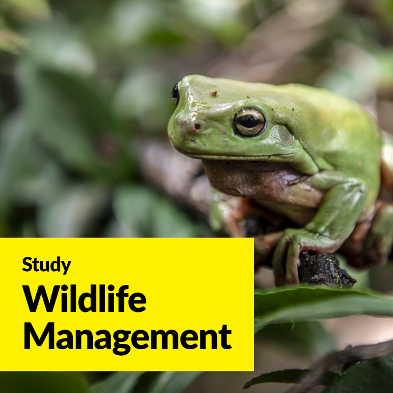 unisqaus's tweet photo. Preserve and protect our wildlife with USQ’s new Wildlife Management  Course.