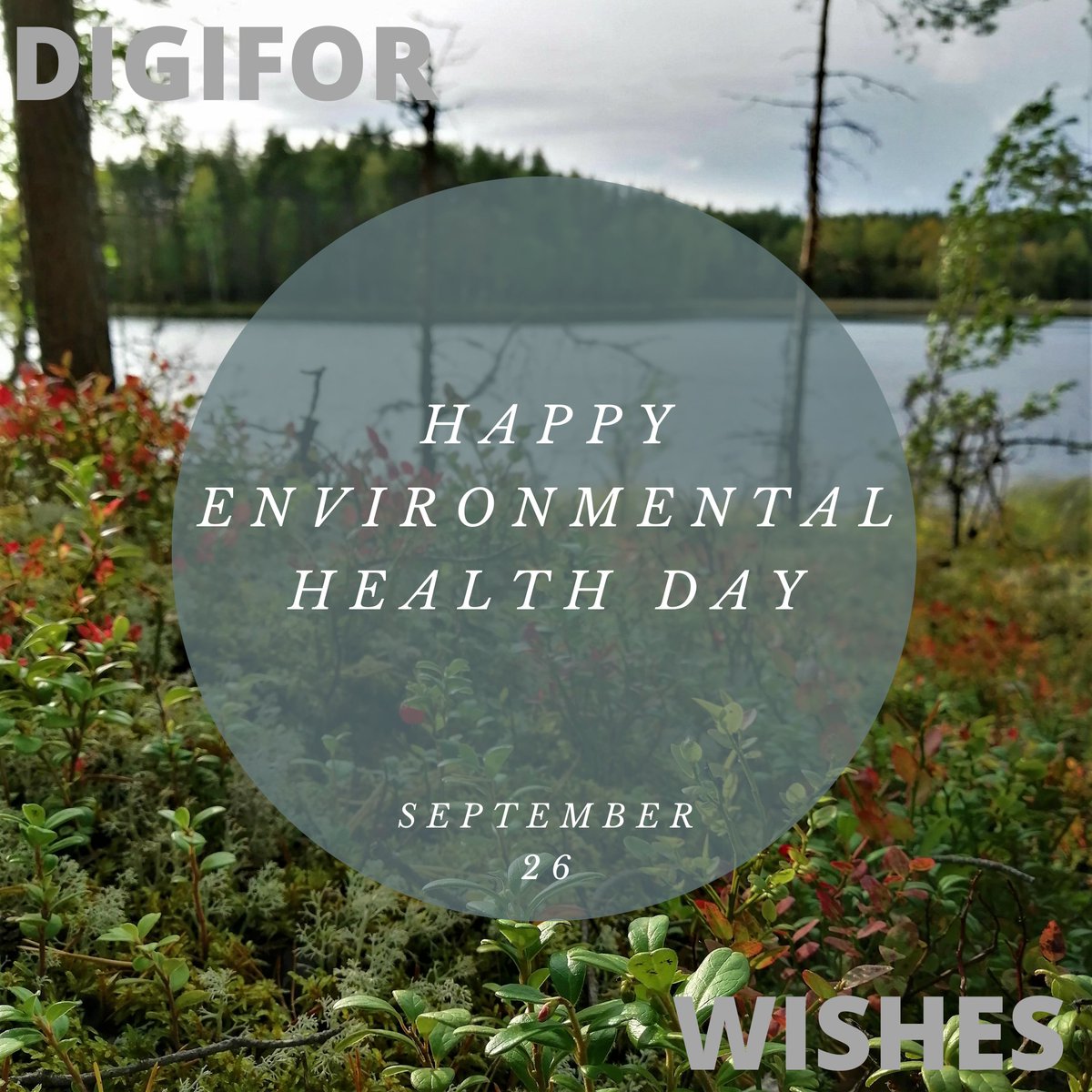 DigiforP's tweet photo. The tight link between #environmentalhealth and #forests is widely acknowledged. Consequently, this poses high demands on the skills and knowledge of our future #forestry'professionals in #Finland and #Russia. 
@DigiforP wishes happy upcoming #worldenvironmentalhealthday ! https://t.co/uJ8qseDjJ1
