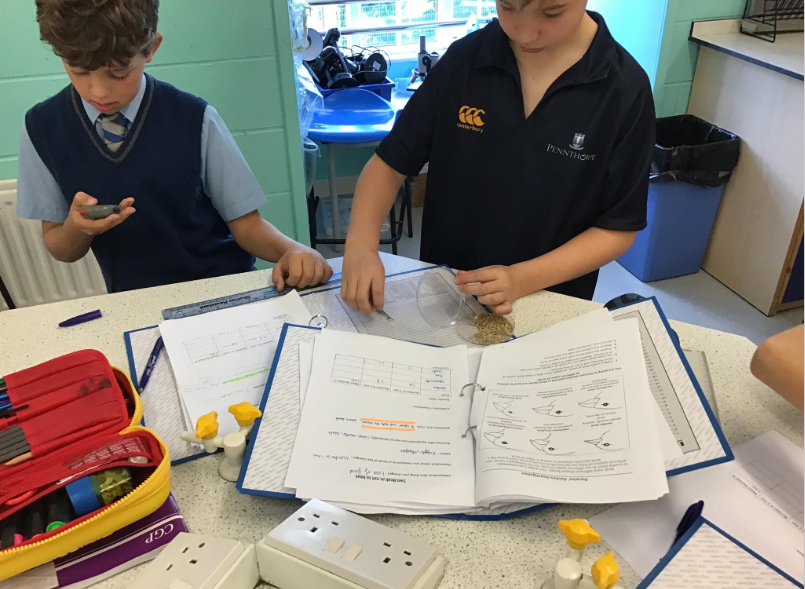 PennthorpeSch's tweet photo. After trying different shaped beaks in their last experiment, Year 5 decided to test different foods with the same ‘beak’. It was fasta with the pasta!
#PennthorpeSchool #ClassroomScience https://t.co/Lt1rIyOx5Y