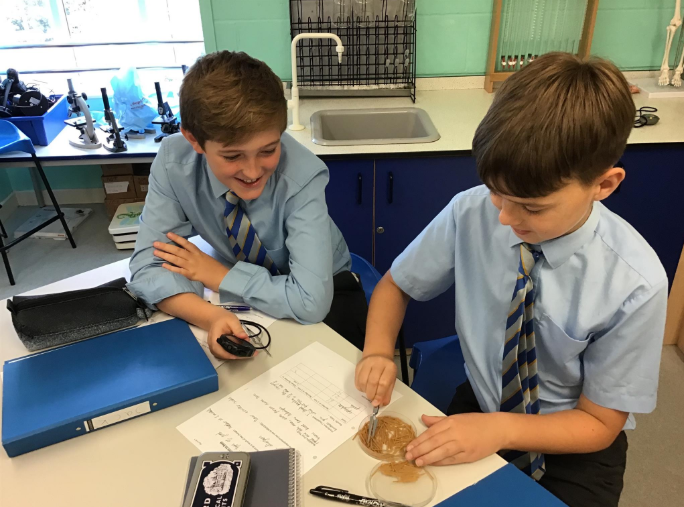 PennthorpeSch's tweet photo. After trying different shaped beaks in their last experiment, Year 5 decided to test different foods with the same ‘beak’. It was fasta with the pasta!
#PennthorpeSchool #ClassroomScience https://t.co/Lt1rIyOx5Y
