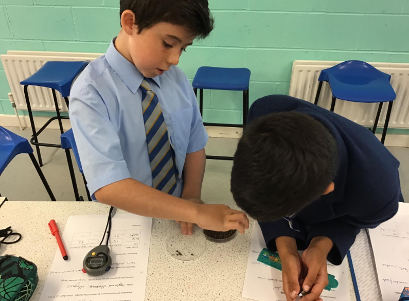 PennthorpeSch's tweet photo. After trying different shaped beaks in their last experiment, Year 5 decided to test different foods with the same ‘beak’. It was fasta with the pasta!
#PennthorpeSchool #ClassroomScience https://t.co/Lt1rIyOx5Y