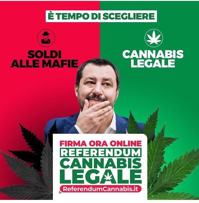 È tempo di scegliere anche per te, Matteo, o vuoi continuare a citofonare? <a href="/LegaleMeglio/">MeglioLegale</a>