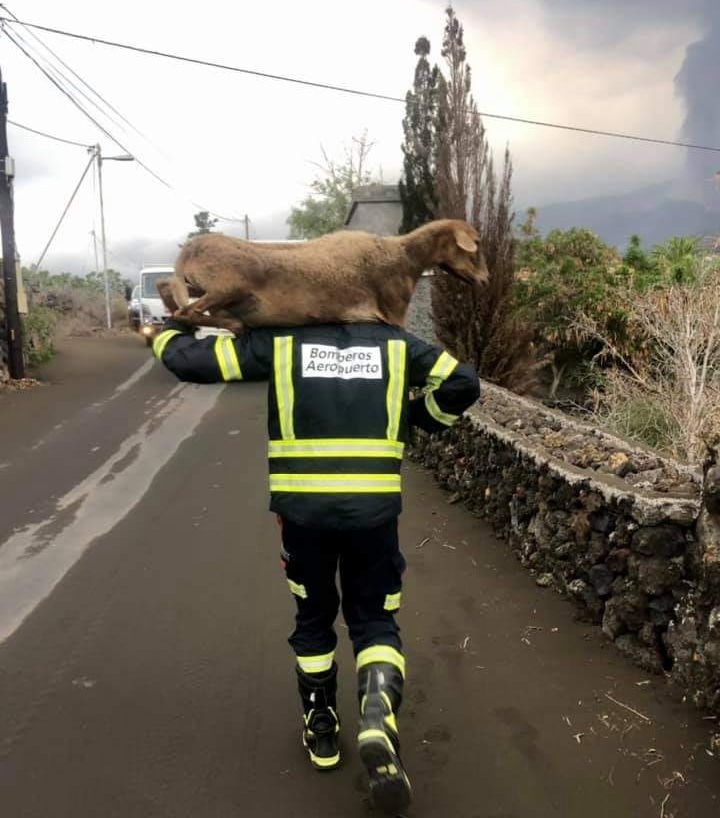 miguelcordoba78's tweet photo. Colaborando y ayudando en todo lo que podemos. Mucho ánimo y fuerza!! #VolcanLaPalma https://t.co/T5XLAxFDrt