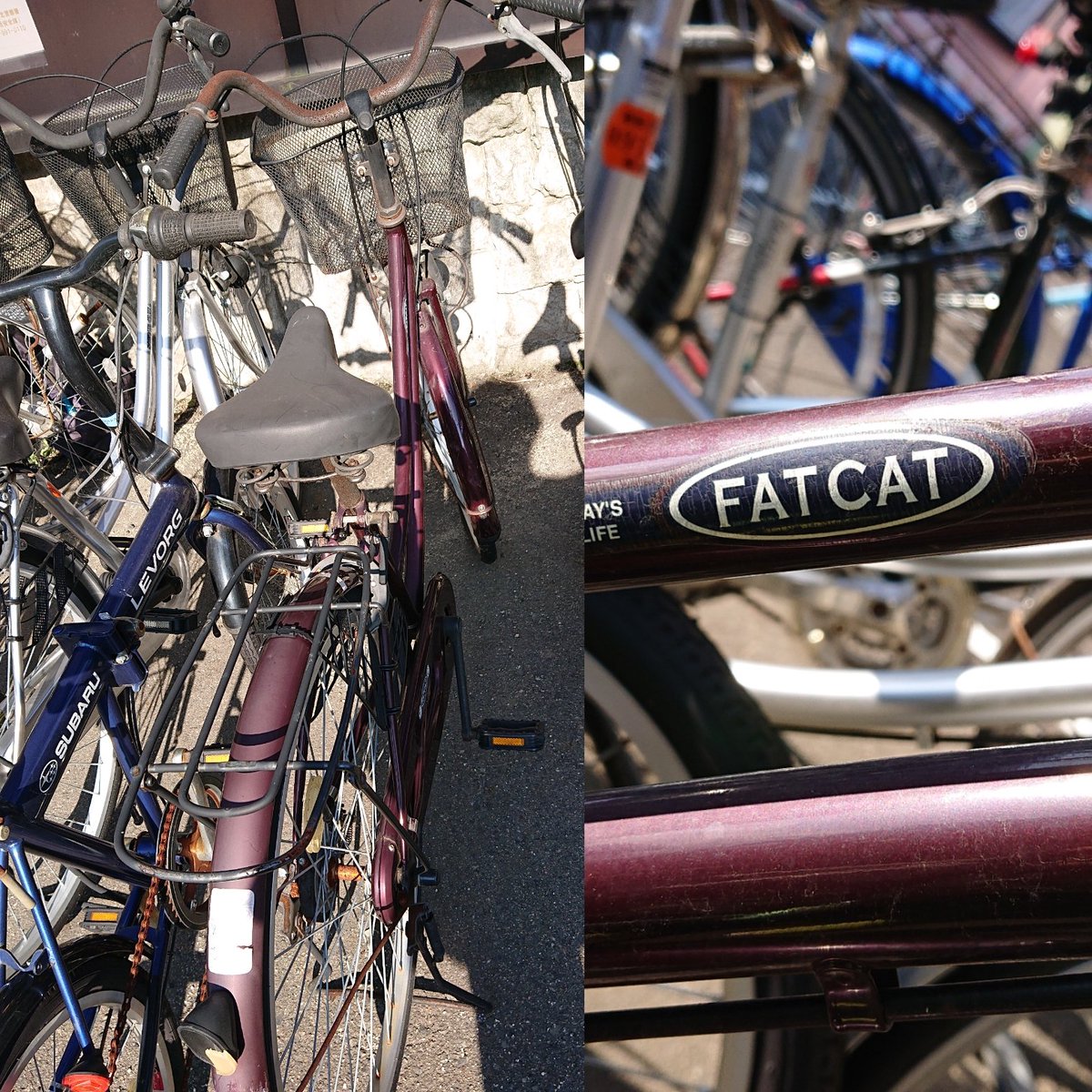 ★太った猫⁉いいえ黒ヒョウです‼( ｀ー´)ノ美品！ お届け可！★ 26インチ 自転車 『FAT CAT』 ☆太った猫⁉いいえ黒ヒョウです‼( ｀ー´)ノ美品！ お届け可！☆ 26