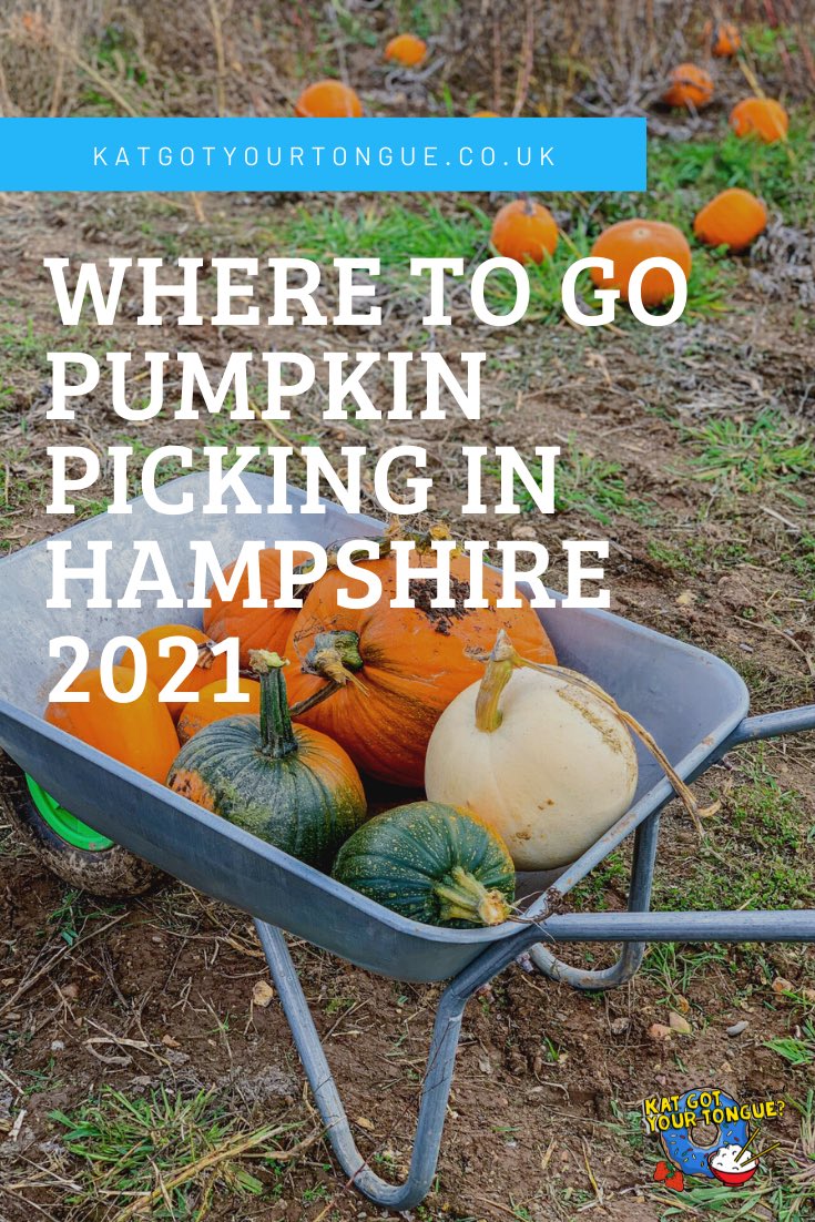 I’ve compiled a guide for all the places you can go pumpkin picking in Hampshire this year!🎃

Covering the New Forest, Southampton, Hayling Island &amp; all the places in between- have a read &amp; save for later!👇

katgotyourtongue.co.uk/where-to-go-pu…

@sotonbloggers <a href="/VisitHampshire/">Visit Hampshire</a>