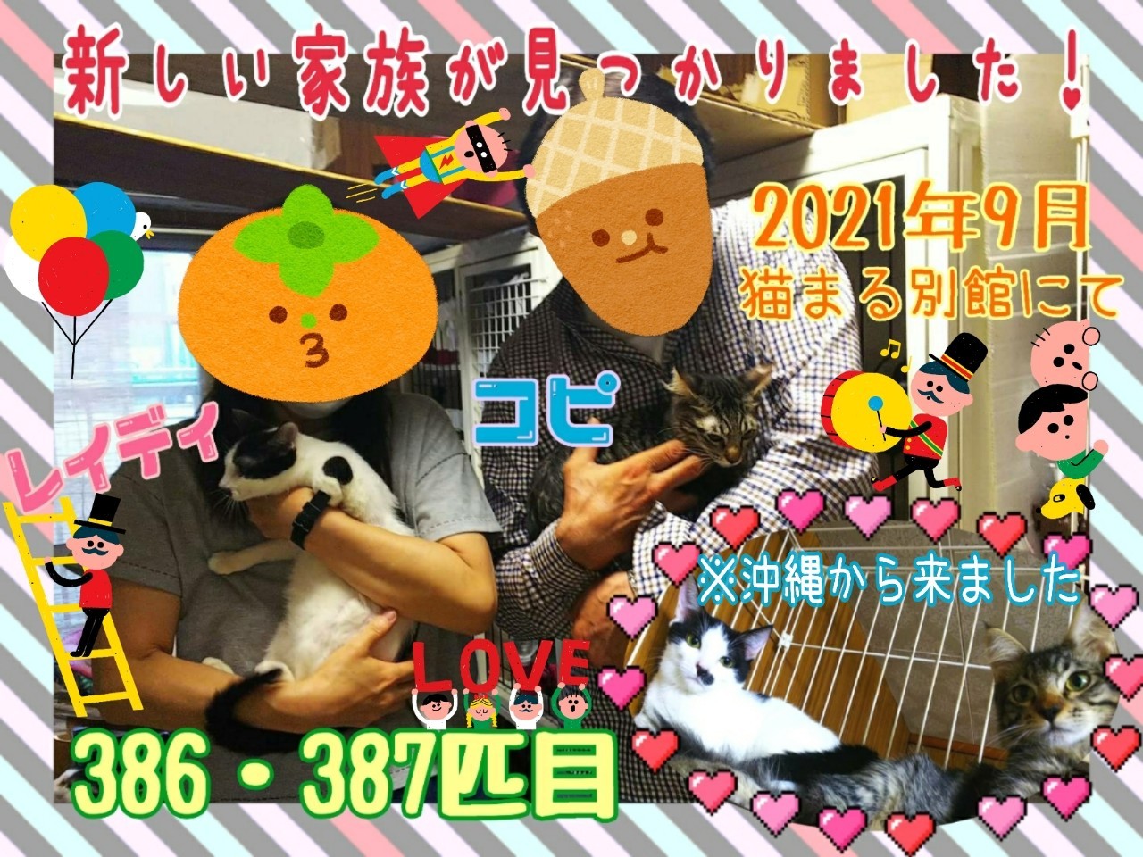 猫カフェ 猫まるカフェ別館 新しい家族の元に出発しためぇ こぴ Amp レイディは別館を卒業して ずっとのオウチ に出発しためぇ 幸せにめぇ 猫部 Cat Catcafe Rescuecat 猫まるカフェ 里親募集 ねこ 猫 里親募集中 猫まる茶屋 Okinawa 猫カフェ 猫まるカフェ別館 新しい家族の元に出発しためぇ こぴ Amp レイディは別館を卒業して ずっとのオウチ に出発しためぇ 幸せにめぇ 猫部 Cat Catcafe Rescuecat 猫まるカフェ 里親募集 ねこ 猫 里親募集中 猫まる茶屋 Okinawa