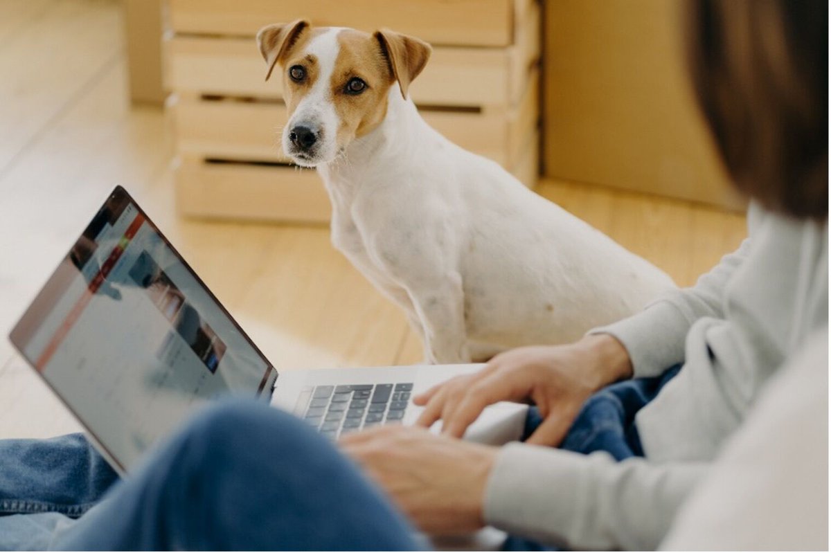 Hybrid working is here to stay, but is your technology prepared for it? With Cloud services, you can work from anywhere! Give Midland Telecom and IT a call, after all, IT people are the original work from home warriors  #connectivity 

Find out more: bit.ly/3vJxF48