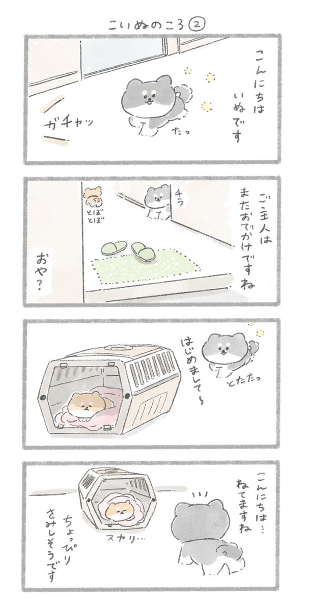 こいぬのころ②
#こんにちはいぬです 