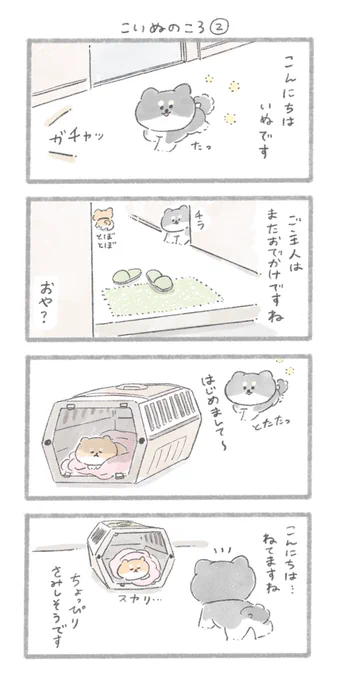 こいぬのころ②#こんにちはいぬです 