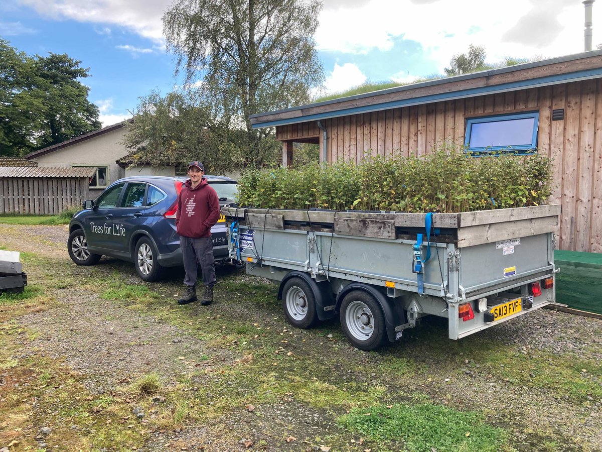 treesforlifeuk's tweet photo. The nursery team has been hard at work over the last few weeks packing an order of 10,326 trees! These birch, rowan and aspen saplings are off to Keppoch in Skye, where the @JohnMuirTrust is returning blocks of commercial Sitka spruce back to native broadleaf woodland. https://t.co/Ia1SOSBwA1