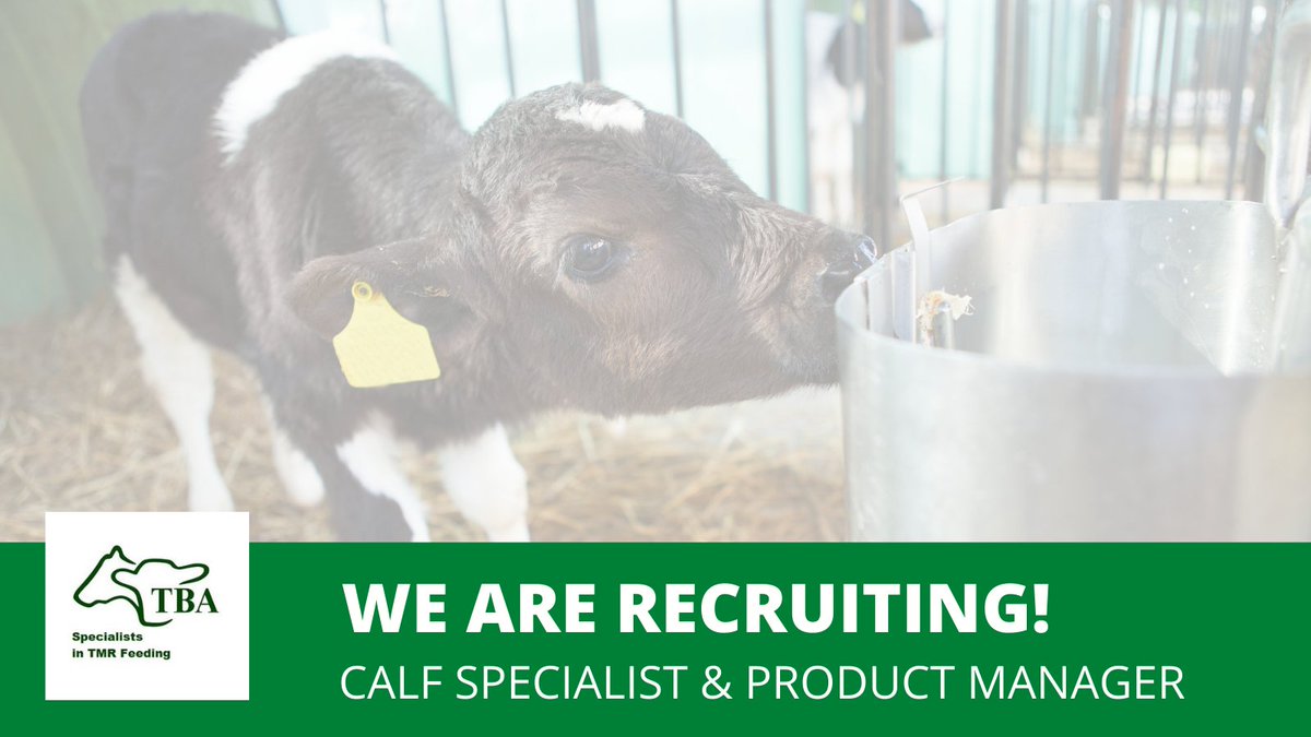 We are recruiting! We are looking for a Calf Specialist to join our professional team of on-farm advisers. Read more here bit.ly/TBAJobSept21  PLEASE SHARE - thank you 🐮😀👍
#workwithus #Livestock #SalesandMarketing #AnimalHealth #Nutrition #Dairy
