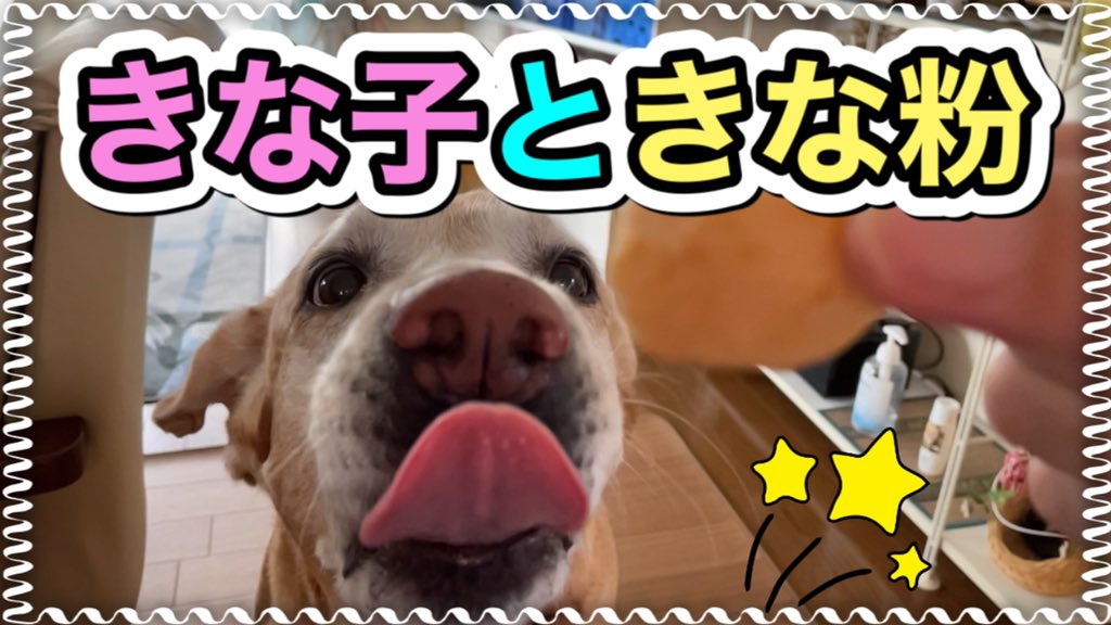 きな粉 Twitter Sogning