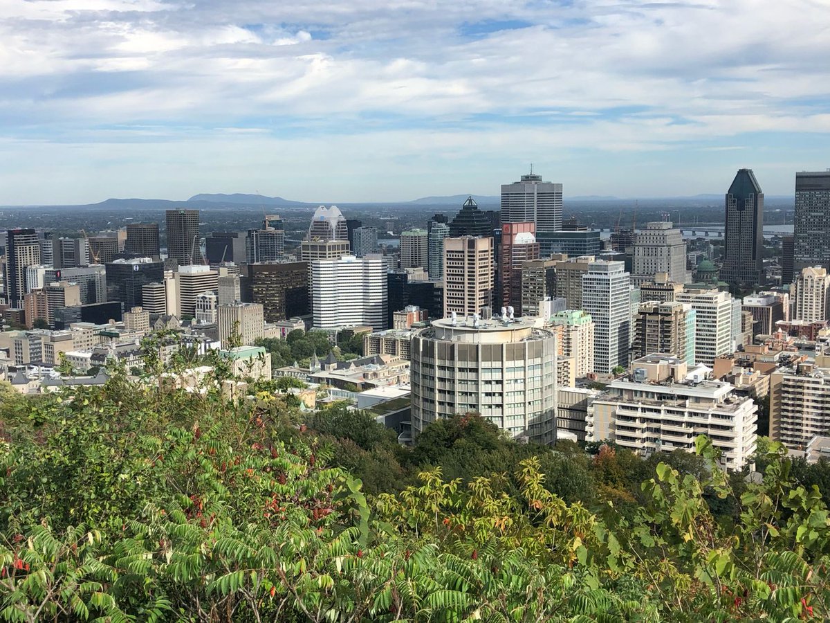 Apilab's tweet image. L&apos;équipe d&apos;Apilab au #Canada  chez @alveolebuzz  ! 🇨🇦
On en profite pour réaliser quelques prélèvements sur plusieurs sites et mesurer la diversité et la qualité des ressources pour les #abeilles avant d’affronter l&apos;hiver canadien❄️
#environment #pollen @airtransat #biodiversite