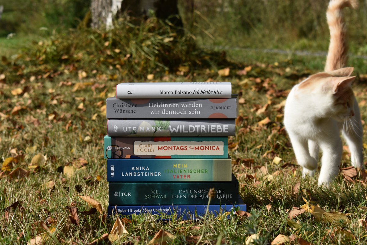 Wie immer ist es mir schwer gefallen eine Bücherliste für den Urlaub zusammenzustellen. Im Gegensatz zu den letzten Urlauben will ich in diesem Jahr mal weniger Bücher also evtl. eine realistischere Anzahl mitnehmen. nannisraeuberleben.de/2021/09/urlaub…